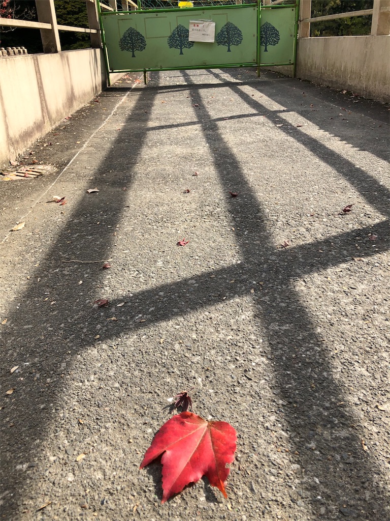 f:id:Gucchy:20191118135616j:image