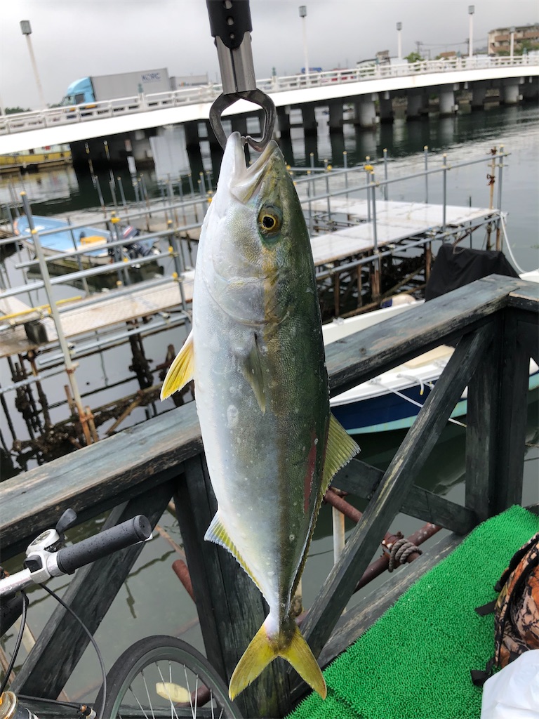 f:id:Gucchy:20210820153318j:image