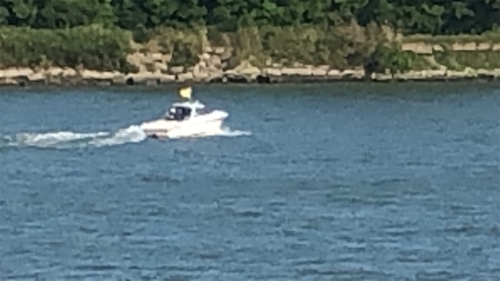 f:id:Gucchy:20210906121118j:image