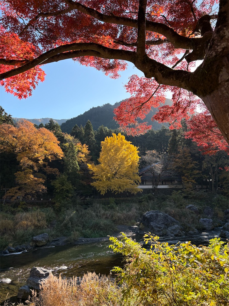 f:id:Gucchy:20251118103207j:image