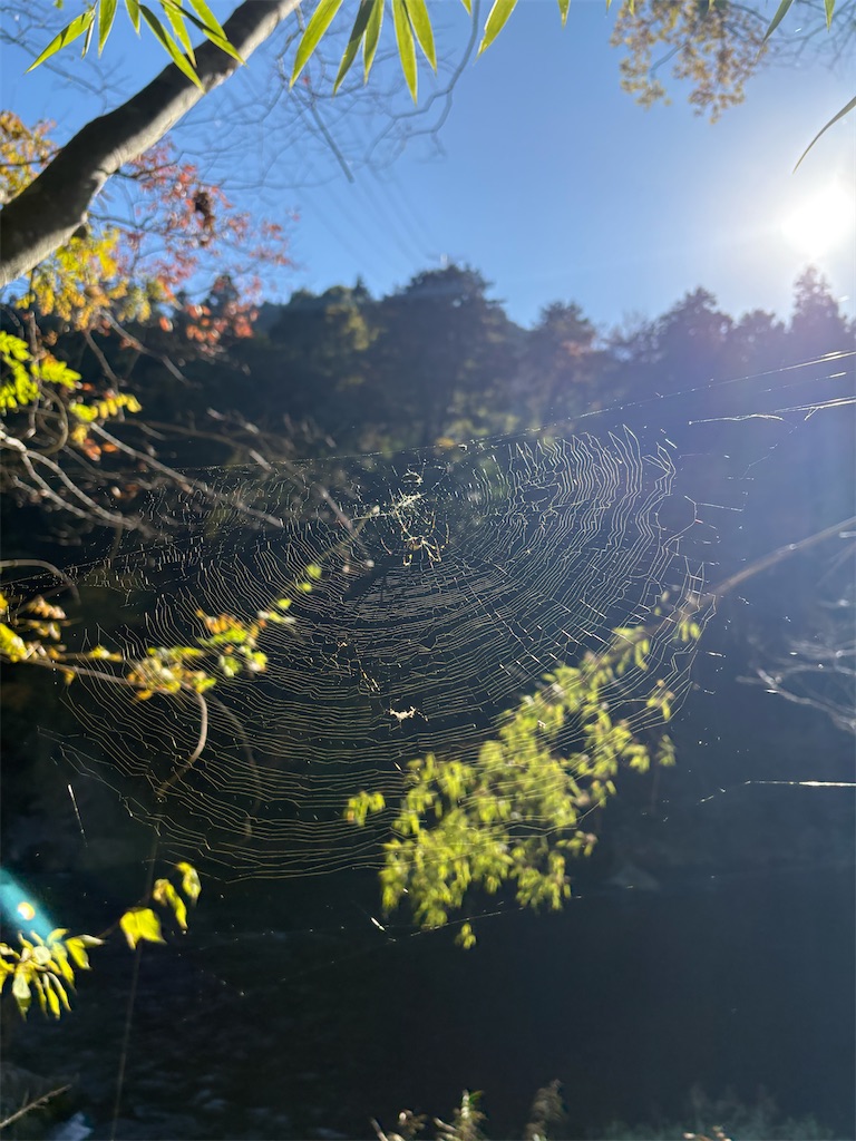 f:id:Gucchy:20251118103210j:image