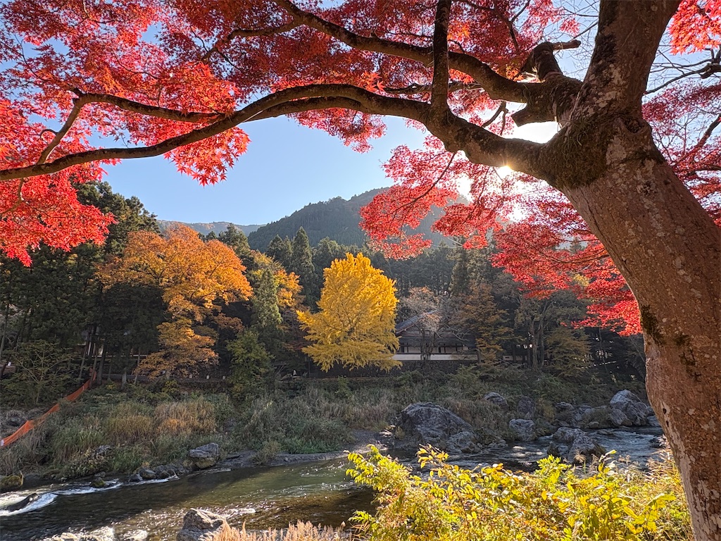 f:id:Gucchy:20251118103217j:image