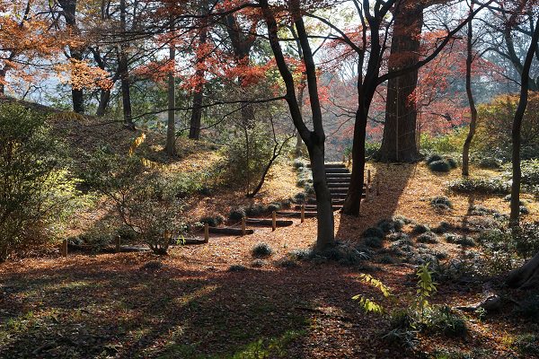 f:id:Gudosha:20180218024238j:plain f:id:Gudosha:20180218024238j:plain
