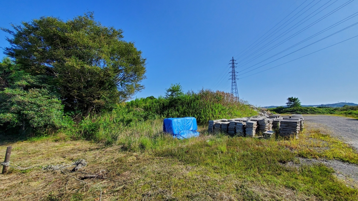 f:id:Guess_Net:20211009150335j:plain