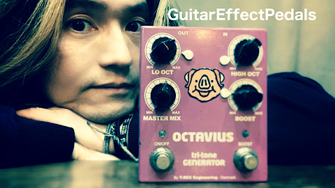 T-rex OCTAVIUS オクターバー T-Rex Engineering Octavius Octave - エフェクター専門店