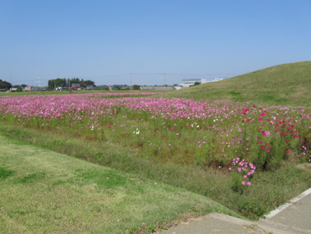 f:id:Guitars590:20081013124734j:image