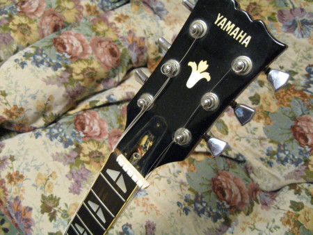 f:id:Guitars590:20100122233535j:image