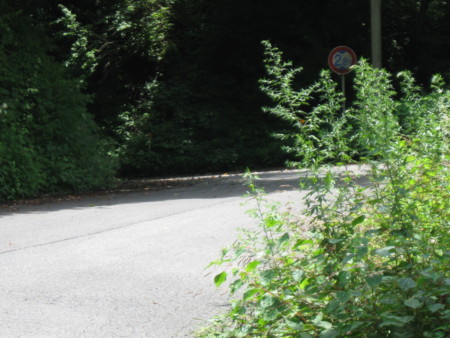 f:id:Guitars590:20100731114317j:image