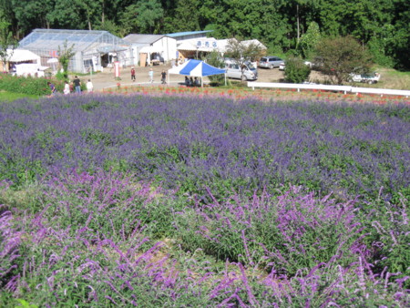 f:id:Guitars590:20101011140933j:image