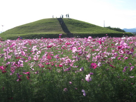 f:id:Guitars590:20101011145246j:image