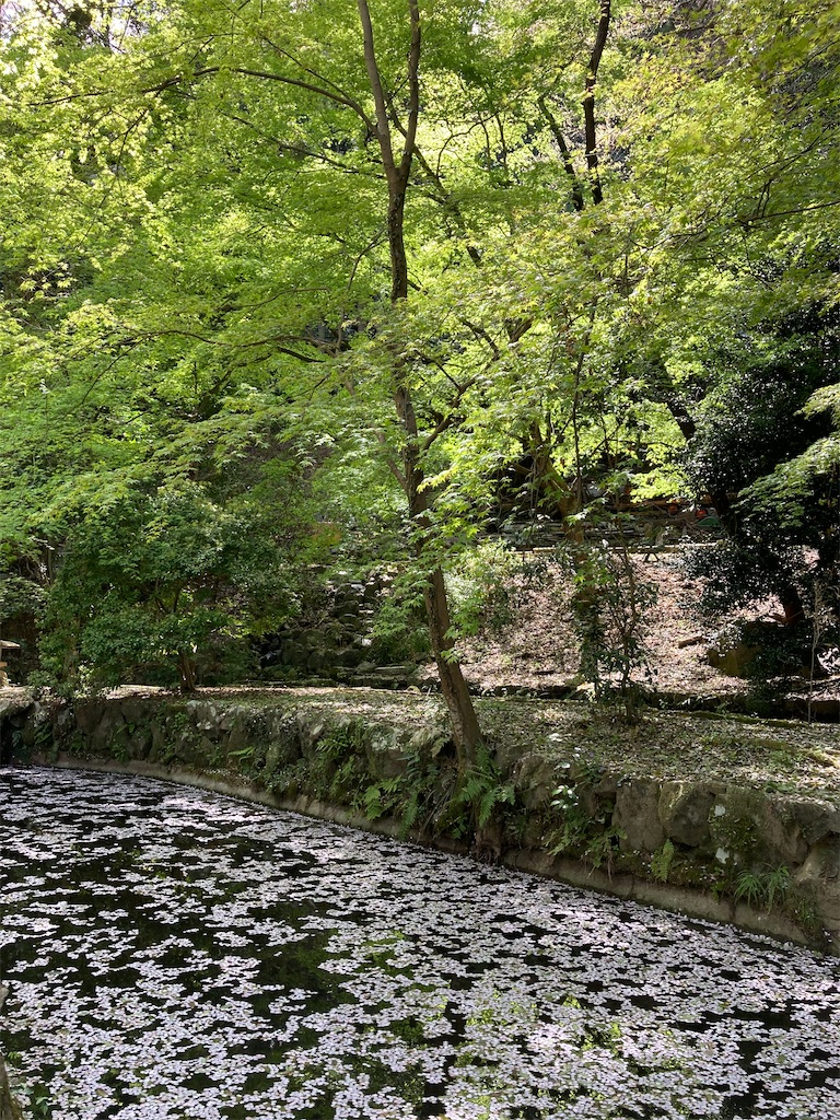 f:id:Guitarurata1957:20220408212735j:image