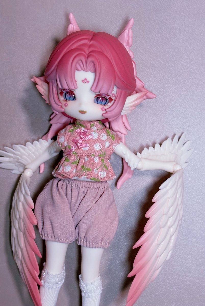 41.アイドール大阪、購入品 - Lalala Doll Diary
