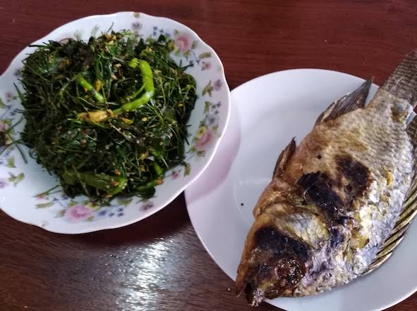 f:id:Guratony:20181030113501j:plain f:id:Guratony:20181030113501j:plain