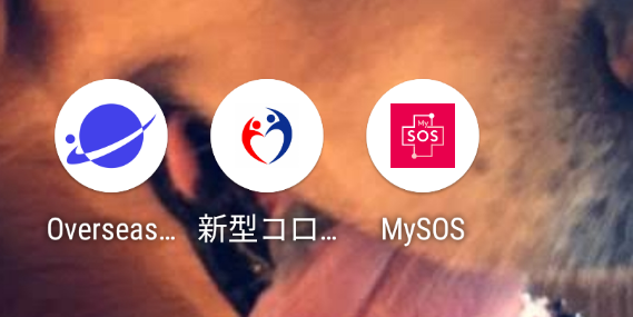 f:id:Gusfand:20210627140438p:plain