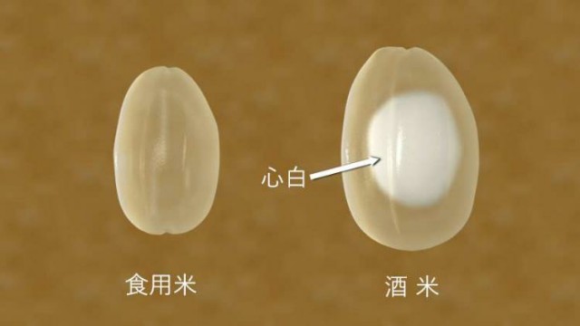 f:id:GvUdcjrrHptKM7Y:20210530010048j:image f:id:GvUdcjrrHptKM7Y:20210530010048j:image