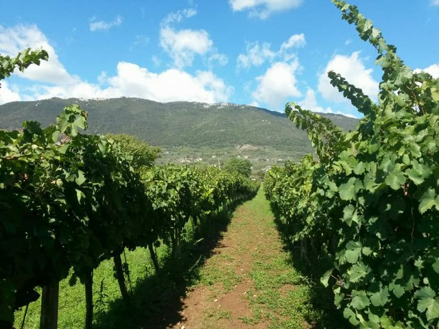 f:id:GvUdcjrrHptKM7Y:20210601222907j:image