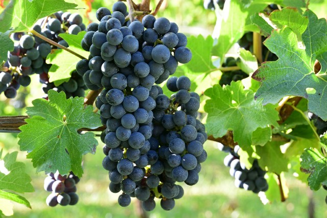 f:id:GvUdcjrrHptKM7Y:20211014180737j:image f:id:GvUdcjrrHptKM7Y:20211014180737j:image