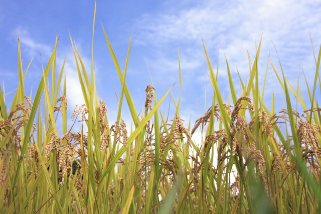 f:id:GvUdcjrrHptKM7Y:20220118170204j:image f:id:GvUdcjrrHptKM7Y:20220118170204j:image