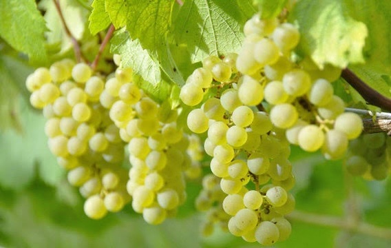 f:id:GvUdcjrrHptKM7Y:20240814095125j:image f:id:GvUdcjrrHptKM7Y:20240814095125j:image