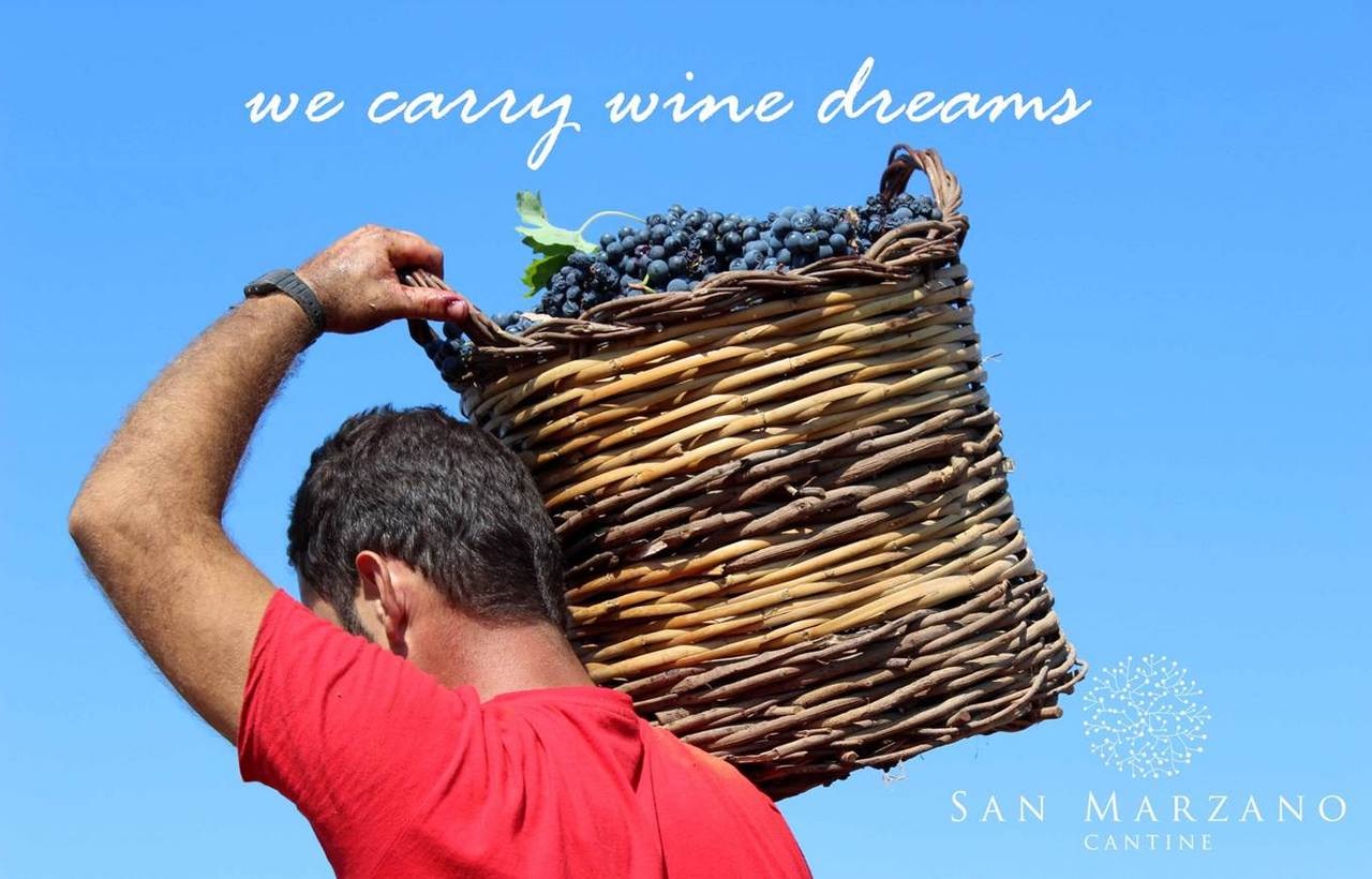 f:id:GvUdcjrrHptKM7Y:20250112111035j:image f:id:GvUdcjrrHptKM7Y:20250112111035j:image