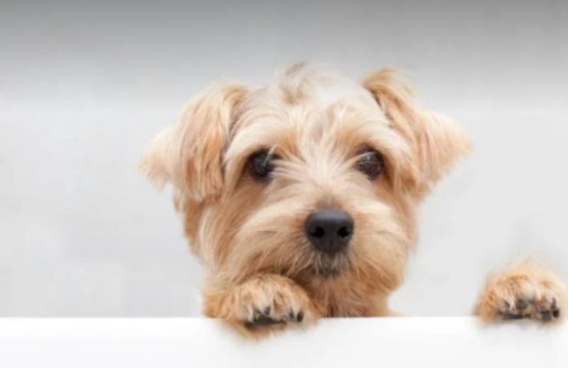 f:id:H22020:20210715173024p:plain