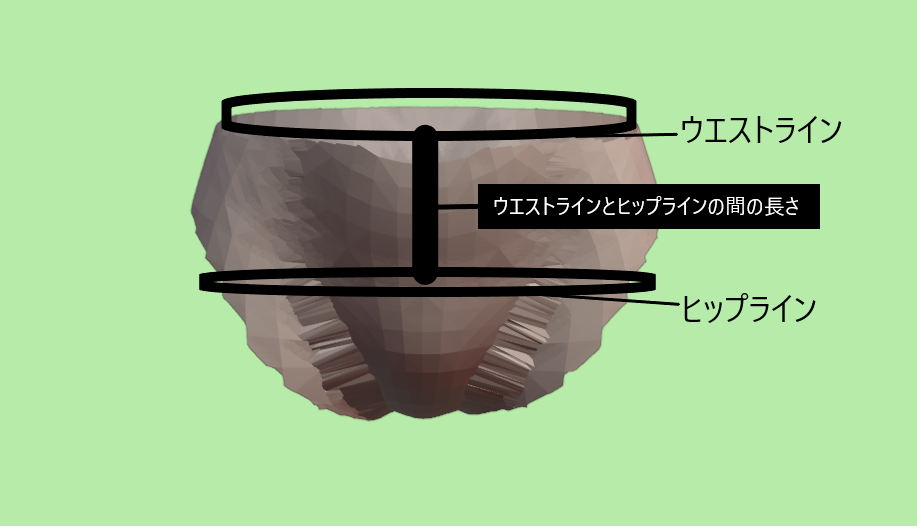 ウエストラインとヒップラインの間の長さを表した３D画像