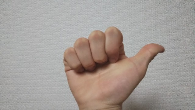 f:id:HAKONIWAmikan:20211012211508j:plain