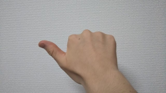 f:id:HAKONIWAmikan:20211012211519j:plain