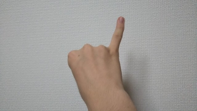 f:id:HAKONIWAmikan:20211012212235j:plain