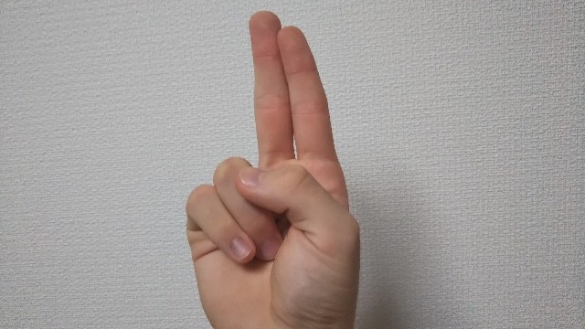 f:id:HAKONIWAmikan:20211012212530j:plain