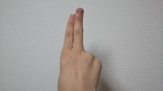 f:id:HAKONIWAmikan:20211012214502j:plain
