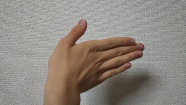 f:id:HAKONIWAmikan:20211013214137j:plain