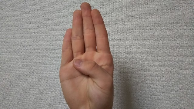 f:id:HAKONIWAmikan:20211013214329j:plain