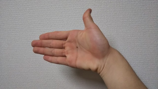 f:id:HAKONIWAmikan:20211013214411j:plain