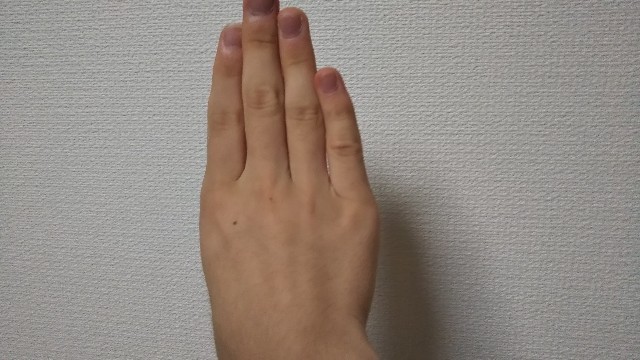 f:id:HAKONIWAmikan:20211013215657j:plain