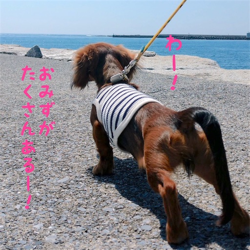 f:id:HANA1005:20180713025012j:image f:id:HANA1005:20180713025012j:image