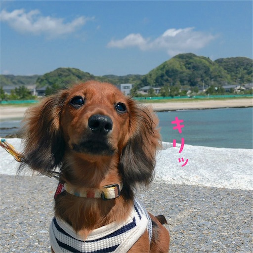 f:id:HANA1005:20180713025025j:image f:id:HANA1005:20180713025025j:image