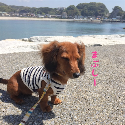 f:id:HANA1005:20180713025040j:image f:id:HANA1005:20180713025040j:image