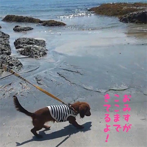 f:id:HANA1005:20180713025054j:image f:id:HANA1005:20180713025054j:image