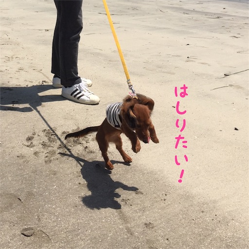 f:id:HANA1005:20180713025133j:image f:id:HANA1005:20180713025133j:image