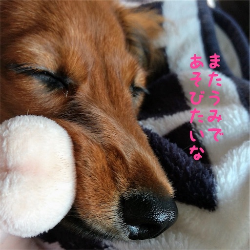 f:id:HANA1005:20180713033317j:image f:id:HANA1005:20180713033317j:image