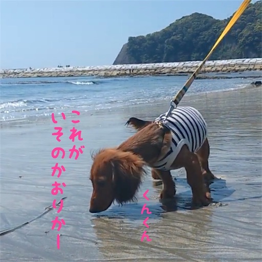 f:id:HANA1005:20180713034136j:image f:id:HANA1005:20180713034136j:image