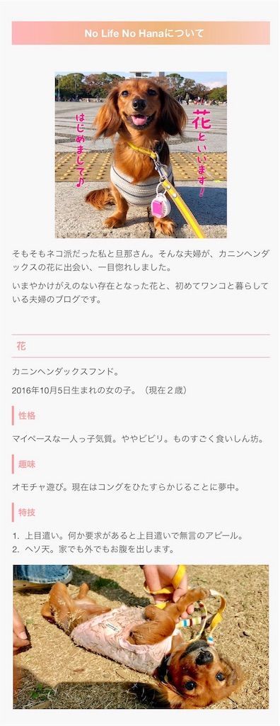 f:id:HANA1005:20181106125252j:image f:id:HANA1005:20181106125252j:image