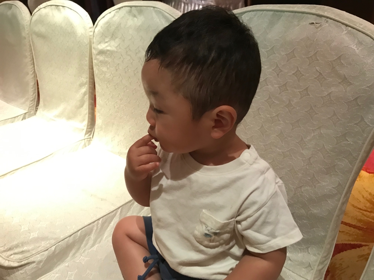 f:id:HANOIKOSODATEPAPA:20190516000254j:plain