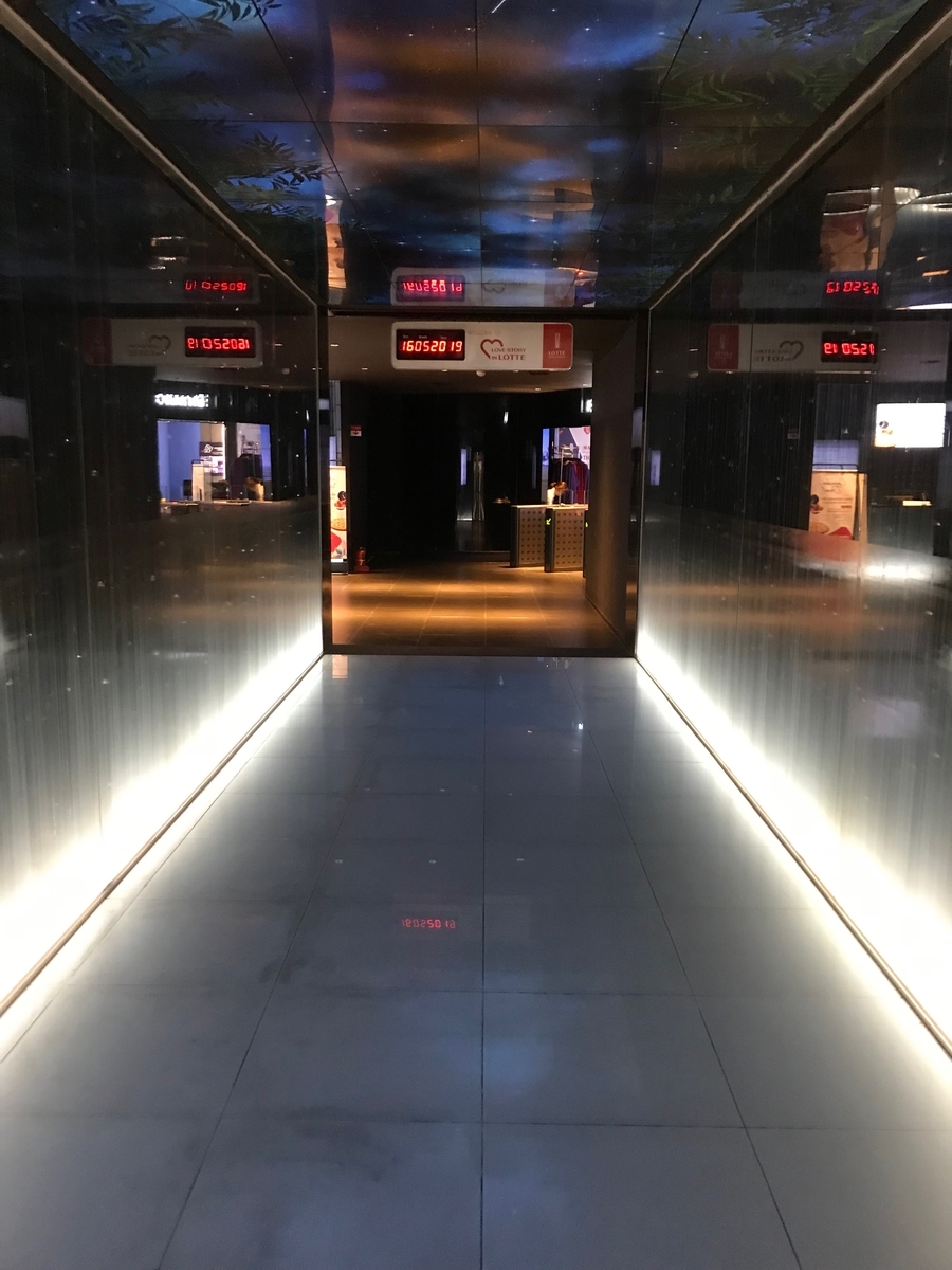 f:id:HANOIKOSODATEPAPA:20190516221742j:plain