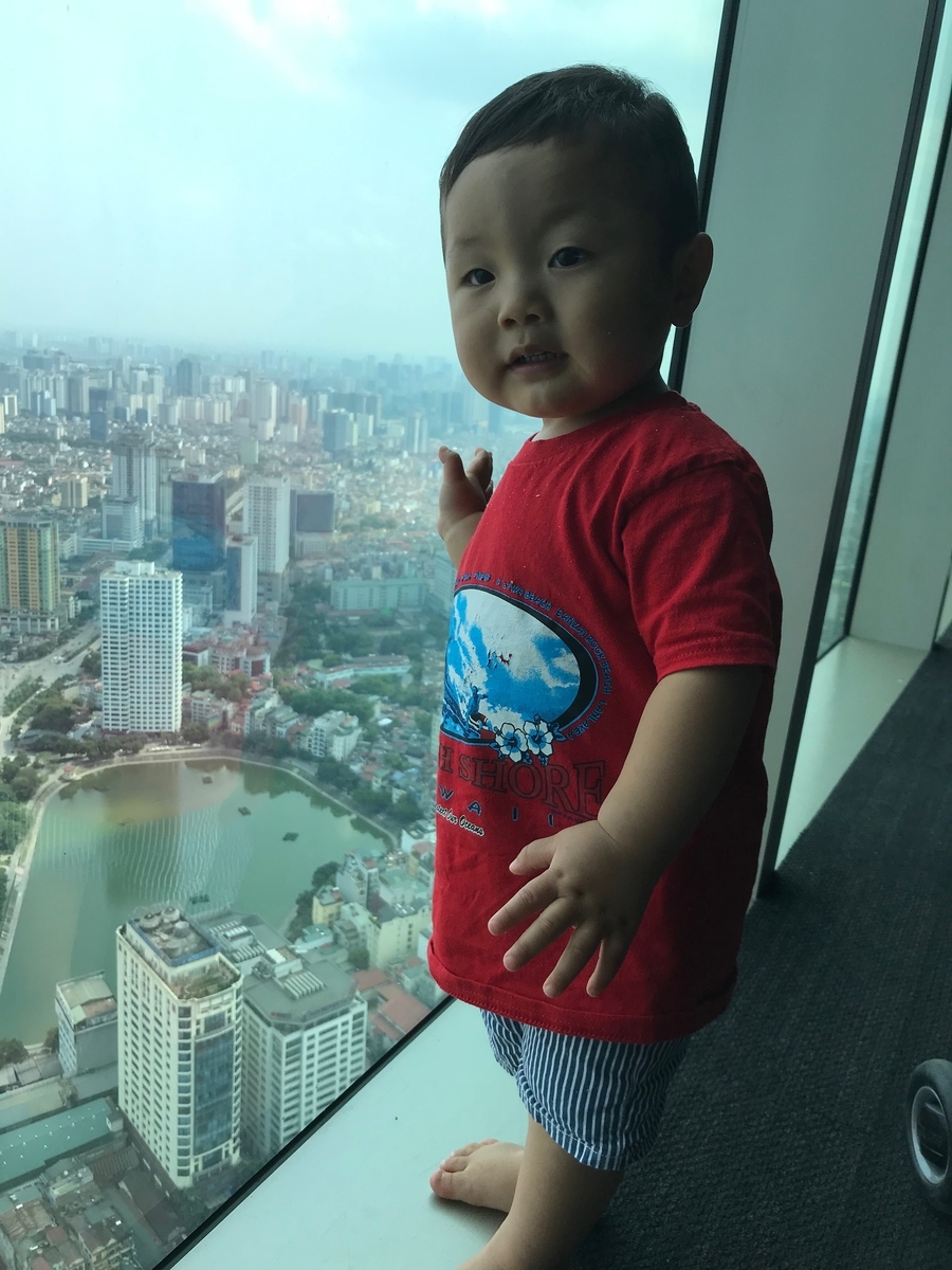 f:id:HANOIKOSODATEPAPA:20190516222051j:plain