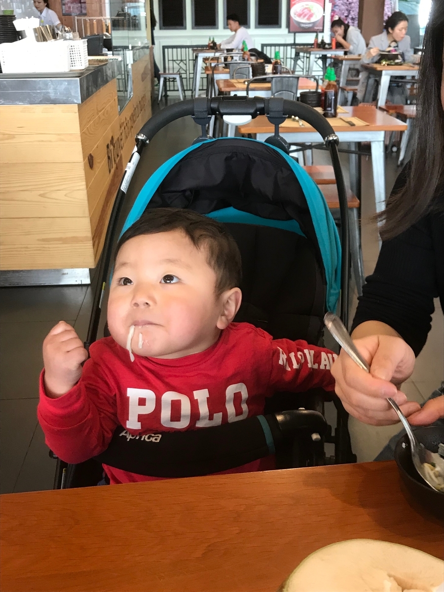f:id:HANOIKOSODATEPAPA:20190518235441j:plain