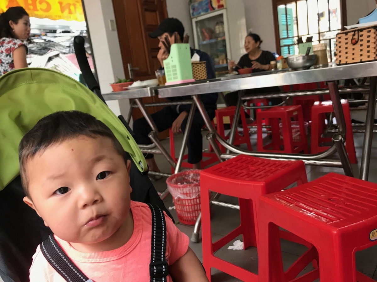 f:id:HANOIKOSODATEPAPA:20190518235636j:plain