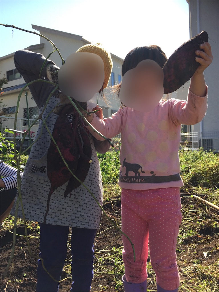 f:id:HARUken:20171111215607j:image f:id:HARUken:20171111215607j:image