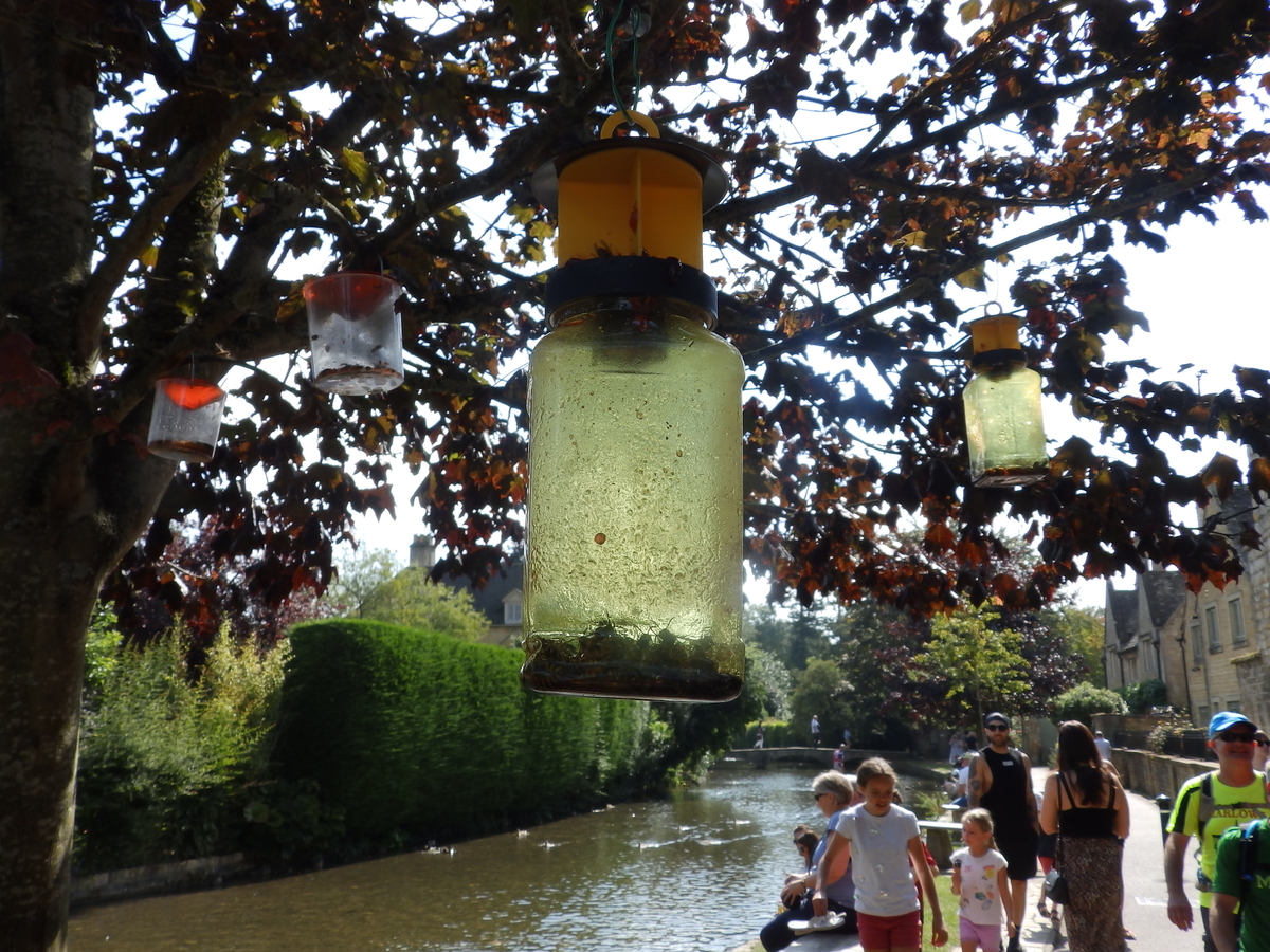 f:id:HATTYAN0234:20191003182642j:plain f:id:HATTYAN0234:20191003182642j:plain